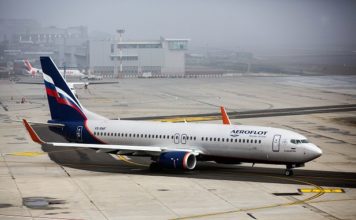 Aeroflot Under Investigation over Two Injured Dogs Aboard