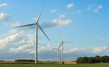 Vestas Cements Leading Position in Russia’s Renewable Power Market