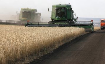 Hot Weather Marks Start of Russian Grain Harvest
