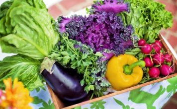 Russia’s Top Vegetable Producer Eyes $625mn China Project