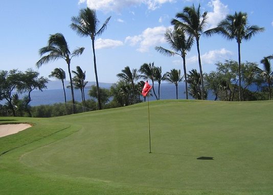 Former Russian Industry Minister Owns Golf Courses Worth Millions: Report