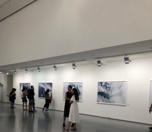 Diane Tuft’s “Frozen in Time” Photography Exhibition Welcomed at Multimedia Art Museum, Moscow