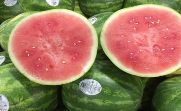 Russia Interested in Kazakh Organic Watermelons