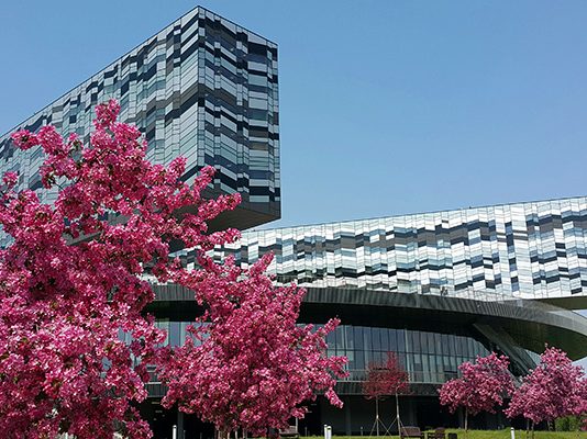 Yuri Levin to Take up Position as Dean of Moscow School of Management SKOLKOVO