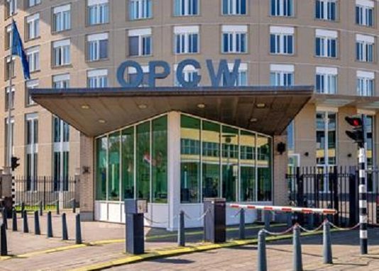 Syrian Douma Incident Should Be Probed for Successful Work at OPCW